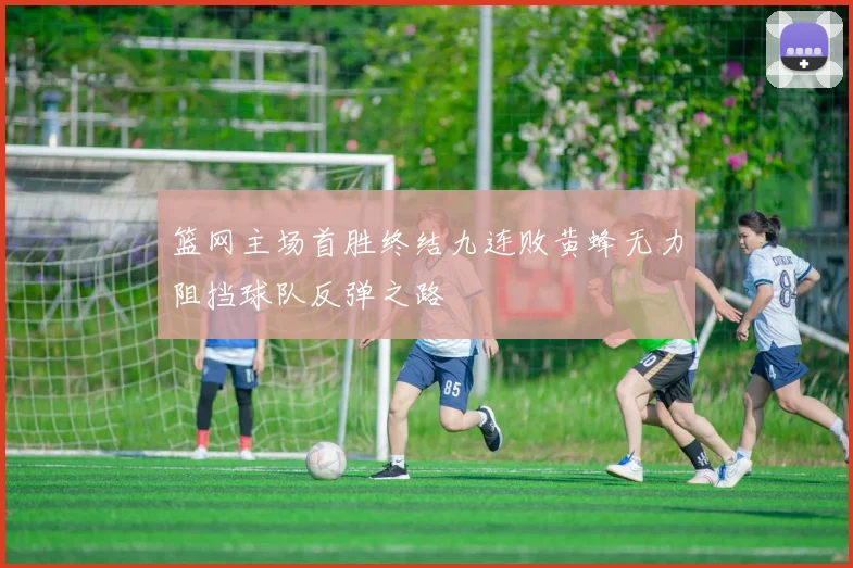 篮网主场首胜终结九连败黄蜂无力阻挡球队反弹之路